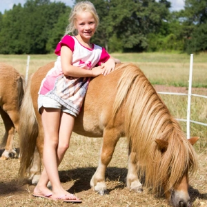 Lieve pony's op Domaine des Lilas